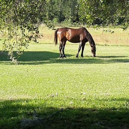 Kokomo Farms Live Oak Kültér fotó