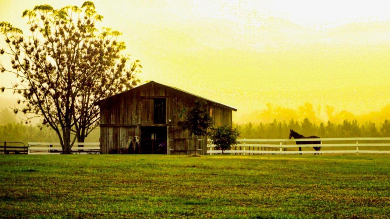 Kokomo Farms Live Oak Kültér fotó